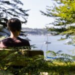 photo of a person from the back, sitting on a bench overlooking a harbour, trees on both sides