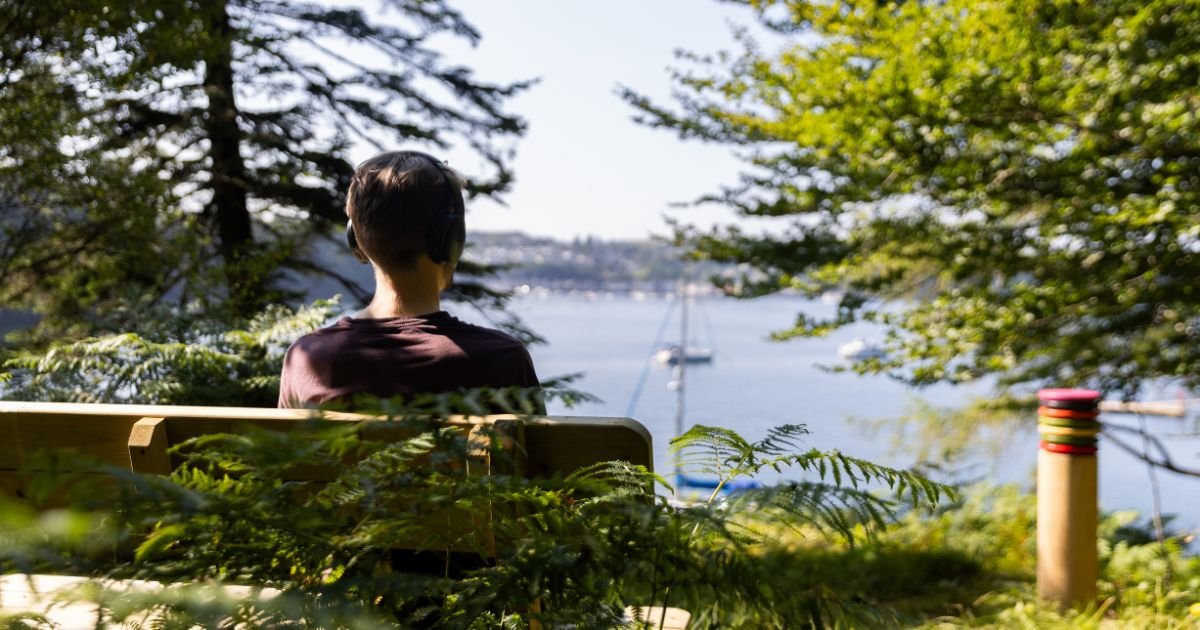 photo of a person from the back, sitting on a bench overlooking a harbour, trees on both sides